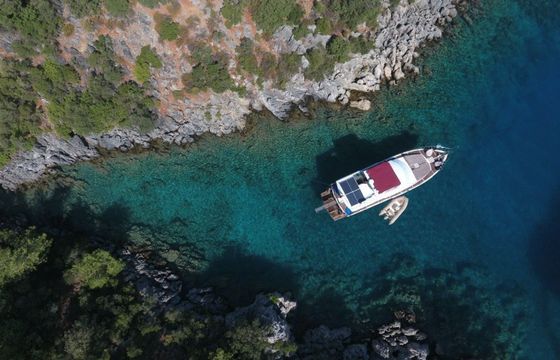 Custom Built 62 Milda
