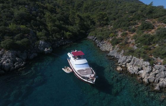 Custom Built 62 Milda