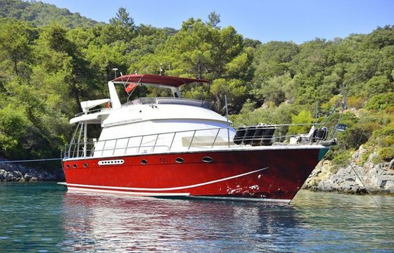 Custom Built 62 Milda