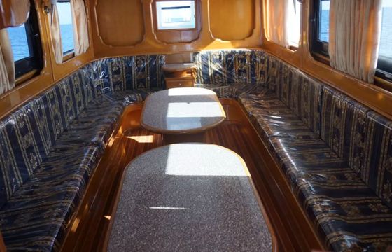 Custom Built 82 Nemo