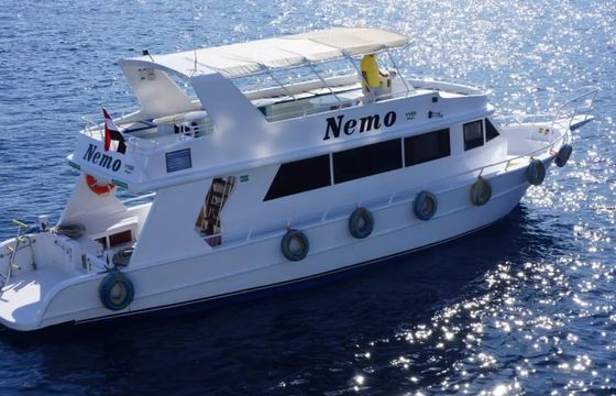 Custom Built 82 Nemo