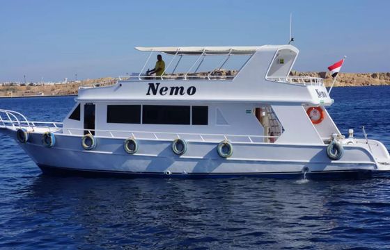 Custom Built 82 Nemo