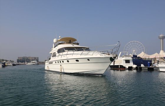 Custom Built 66 Princess