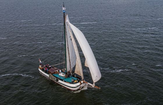 Custom Built 85 Pelikaan