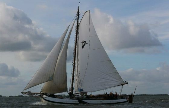 Custom Built 85 Pelikaan