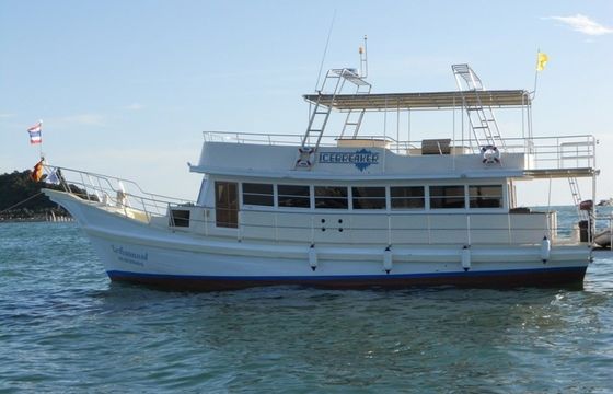 Custom Built 60 Ice Breaker