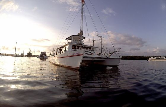 Custom Built 48 Sundowner
