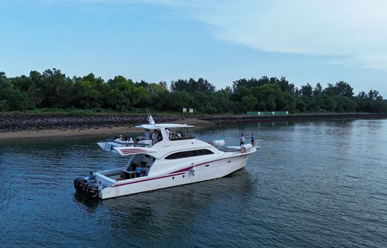 Custom Built 65 La Merry