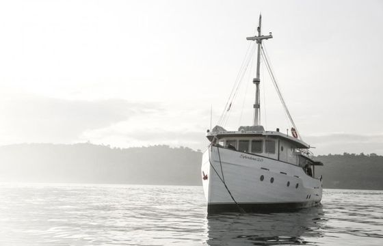 Custom Built 65 Splendour