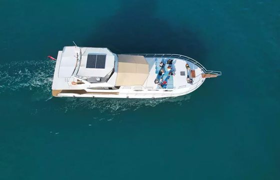 Custom Built 62 Blue Paradise 07
