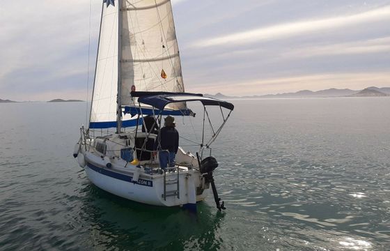 Daimio 23 Virazon 2