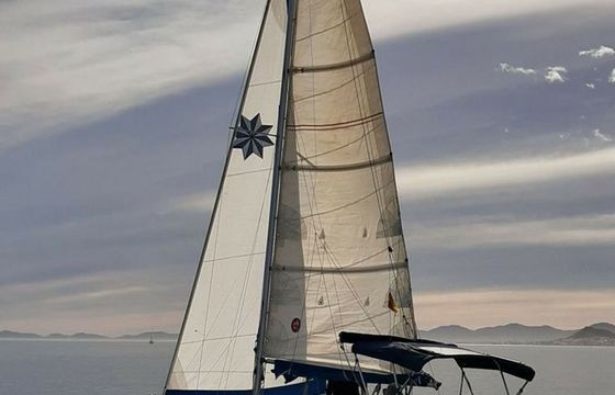 Daimio 23 Virazon 2