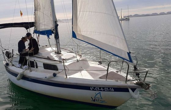 Daimio 23 Virazon 2