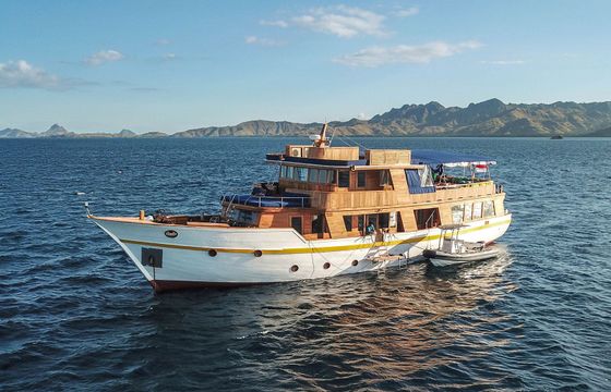 Custom Built 85 Magia 2