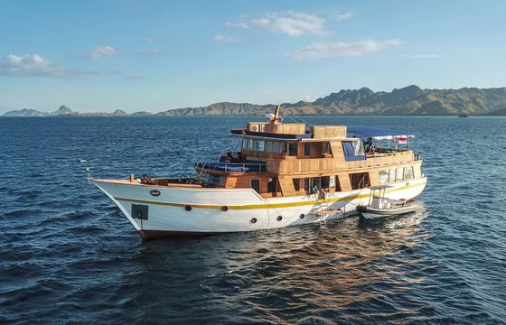 Custom Built 85 Magia 2
