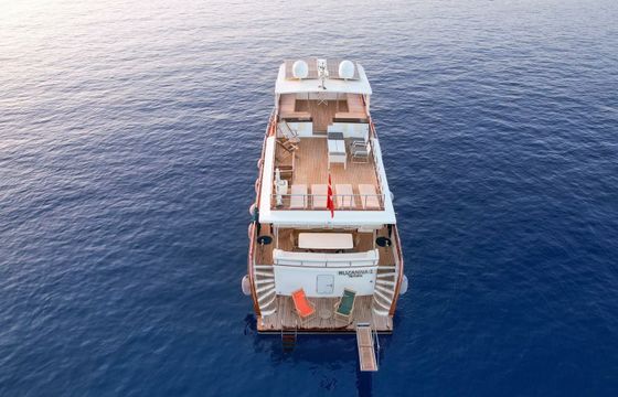 Custom Built 66 Ruzanna 1