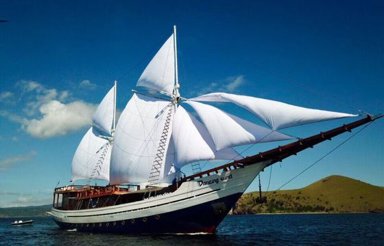 Custom Built Phinisi Dancing Wind