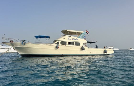 Custom Built 65 Sea Master
