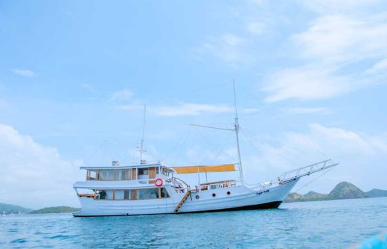 Custom Built Phinisi Gajah Putih