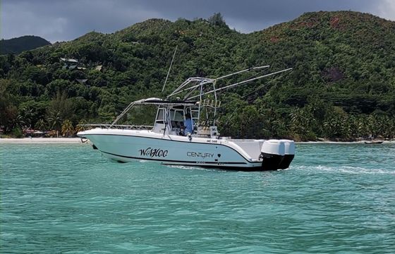 Custom Built Century 1300 Wahoo