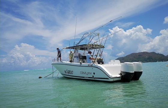 Custom Built Century 1300 Wahoo