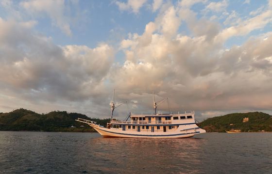 Custom Built Phinisi La Nissa