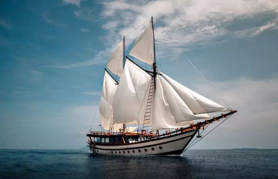 Custom Built Phinisi Senja