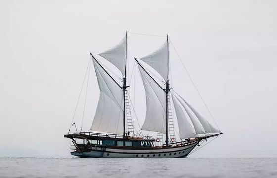 Custom Built Phinisi Senja