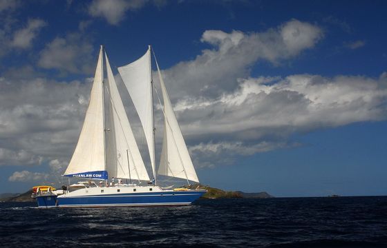 Custom Built Trimaran Cuan Law