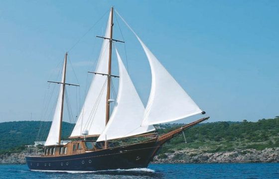 Custom Built 92 Liana H