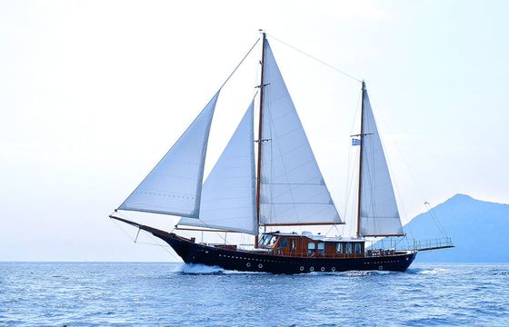 Custom Built 92 Liana H