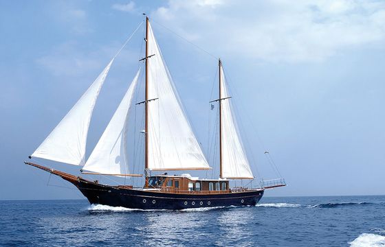 Custom Built 92 Liana H