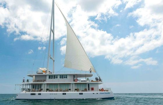 Custom Built 78 Ocean Diamond