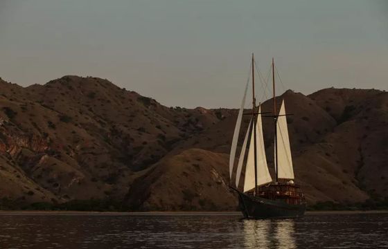 Custom Built Phinisi Vela
