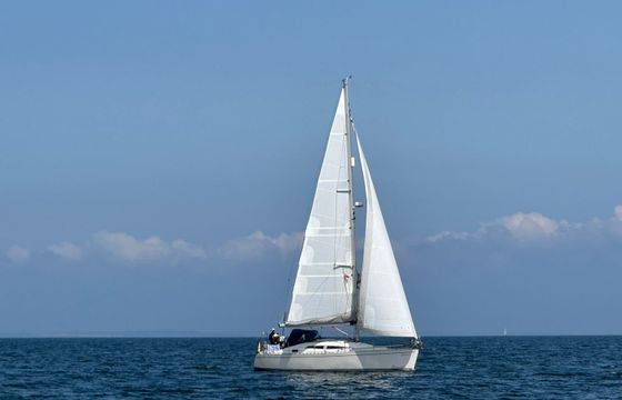 Delphia 33 Monsoon