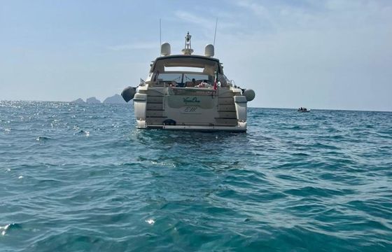 Dalla Pieta 56 Viper One