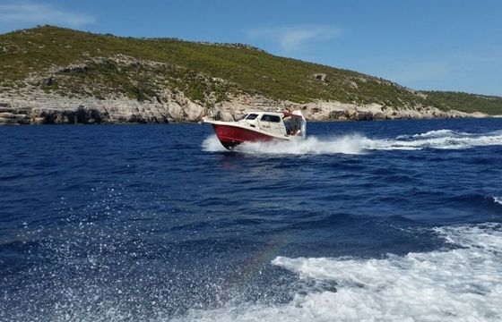 Damor 800 Fjaka