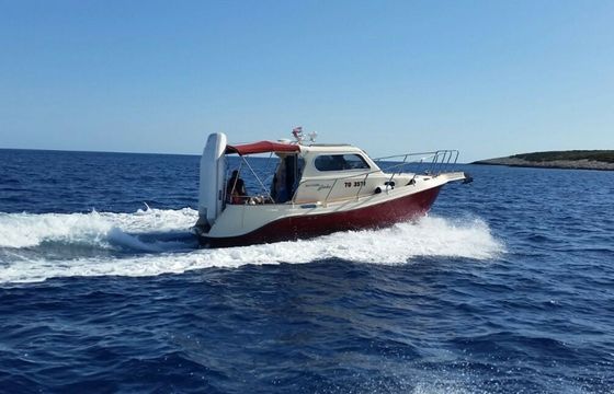 Damor 800 Fjaka
