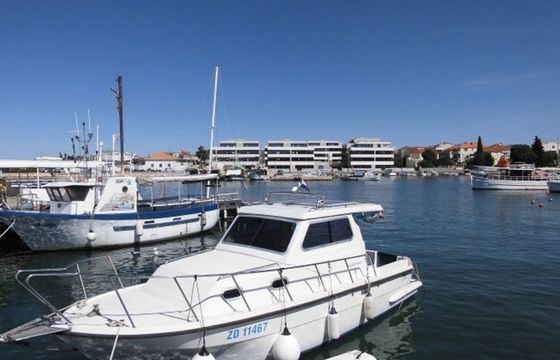 Damor 800 Zadar
