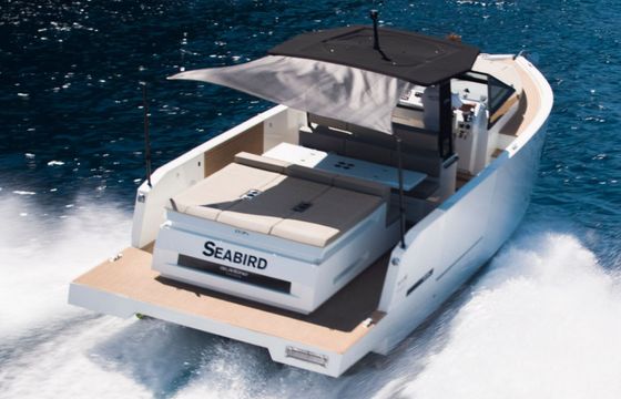 De Antonio D34 Open Seabird
