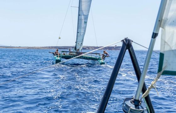 Custom Built Eco Catamaran Dragonfly