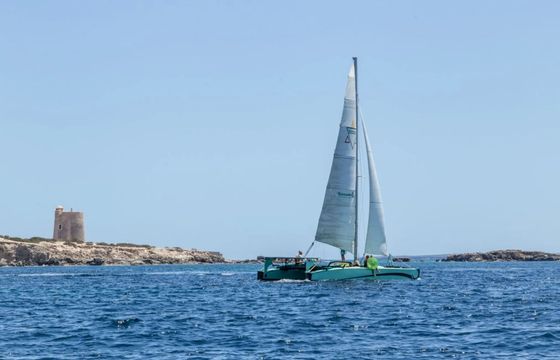 Custom Built Eco Catamaran Dragonfly