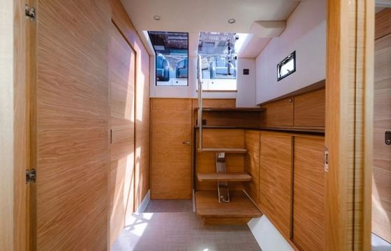 De Antonio D50 Open Sereia