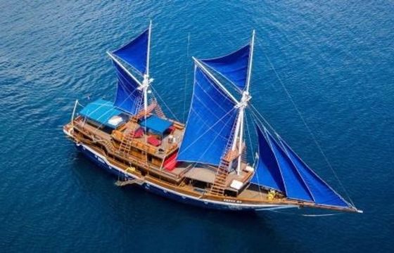 Custom Built Phinisi Blue Lotus