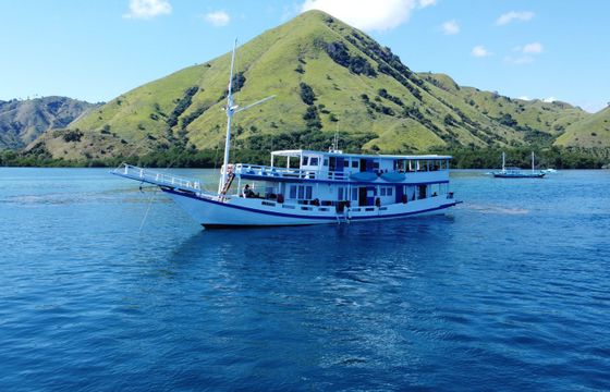 Custom Built Phinisi La Dyana