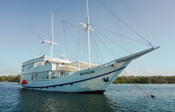 Custom Built Phinisi Mosalaki