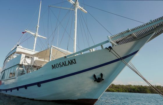Custom Built Phinisi Mosalaki