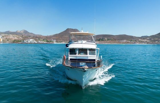 Defever 53 Casiupe
