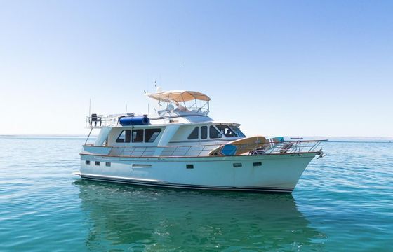 Defever 53 Casiupe