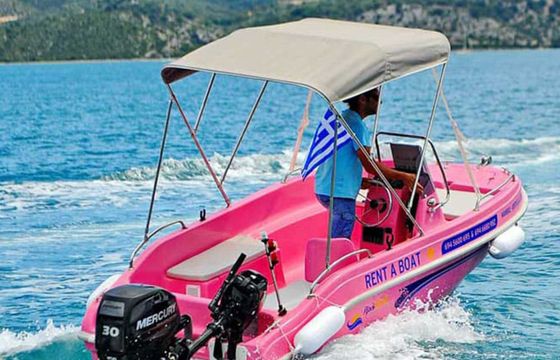 Dromeas 4.5 Pink